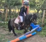 Buttons, Ride and Drive Mare