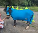 Buttons, Ride and Drive Mare
