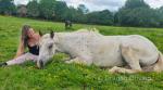 Gelding 