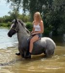 Scarlet, 13hh Ride & Drive Mare