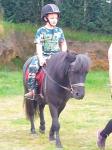 10.2hh Shetland Riding Gelding