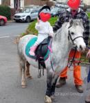 Luna, 11hh Welsh Section A Mare