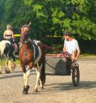 Driving Colt