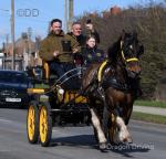 15.1hh Ride and Drive Gelding 