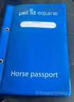 Shetland Ride and Drive Mare