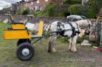 Hermits Highwayman, 12.1hh Gelding 