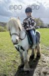 Hermits Highwayman, 12.1hh Gelding 