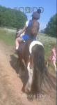 John, Ride and Drive Gelding 