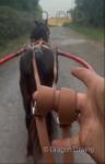 Dolly, Driving Filly 