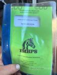 Ride and Drive Gelding 