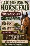 Hertfordshire Horse Fair