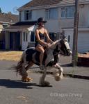 12.2hh Ride and Drive Mare 