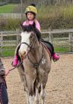 Molly 15.1hh Mare