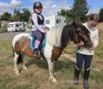 Maggie, 12hh Mare
