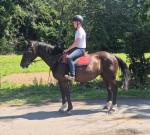 Gucci, 15.1hh Riding Mare 