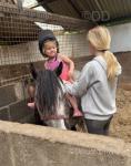 Brihanna, 11.2hh Welsh Section A Riding Mare 