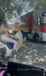 Bow, 13.1hh Riding Mare