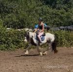 Bow, 13.1hh Riding Mare