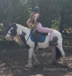 Bow, 13.1hh Riding Mare