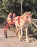 Angel, Ride & Drive Filly
