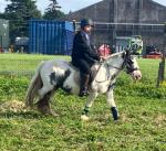 13.1hh Riding Mare