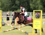 Berry, 11hh Mare