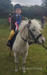 10.3hh Riding Gelding 