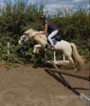 Lenny, 13.1hh Ride and Drive Gelding 