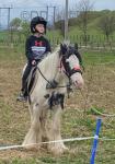 13.1hh Ride and Drive Mare
