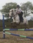 Spot, 13.1hh Riding Gelding 