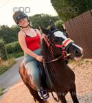 Filly