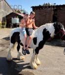 12.2hh Ride & Drive Mare