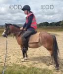 Beros Lotus Blossom, 11.2hh Welsh Section A Mare