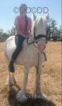 Ruby & Mary, Mares