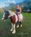 Delilah, 12hh Riding Mare