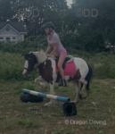 Delilah, 12hh Riding Mare