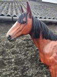 Display Horse