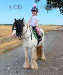 Princess Lulu, 12.2hh Riding Mare