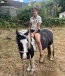 2 Year Old Filly