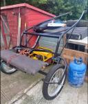Turkish, 15hh Driving Gelding with Cart & Harness