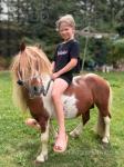 Ride and Drive Stallion