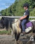12.3hh Riding Mare 