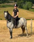 Luna, 11.2hh Riding Mare