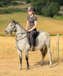 Luna, 11.2hh Riding Mare