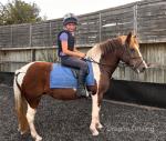 13hh Riding Mare 