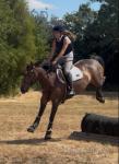 Bella, 14.2hh Riding Mare