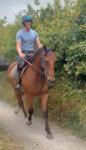 Dj, Thoroughbred Gelding 