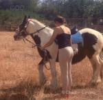 Willow, 13.3hh Mare