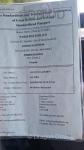 Paris Hilton, 15.1hh Driving Mare