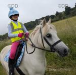 Pebbles, 11.1hh WPB Riding Mare